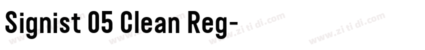 Signist 05 Clean Reg字体转换